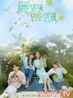 Tình Như Mơ, Đời Như Mộng - Beautiful Love, Wonderful Life (2019)