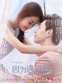 Bởi Vì Gặp được Em - Because Of You (2017)