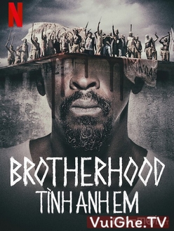 Tình Anh Em (Phần 1) - Brotherhood (Season 1) (2019)