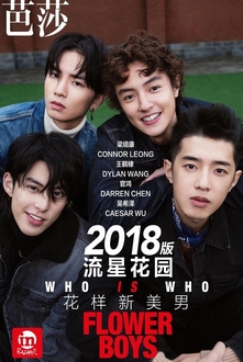 Vườn Sao Băng 2018 - Flower Boys (2018)