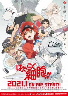 Biệt Đội Tế Bào (Phần 2) - Hataraku Saibou 2nd Season (2021)