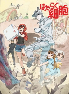 Biệt Đội Tế Bào (Phần 1) - Hataraku Saibou (TV) (2018)