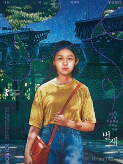 Tổ Của Chim Ruồi Full HD VietSub (2019)