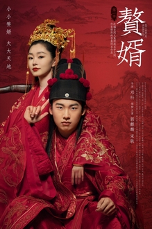 Ở Rể (Chuế Tuế) - My Heroic Husband (2021)