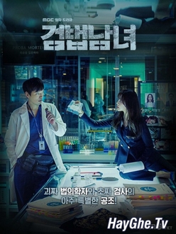 Cặp Đôi Điều Tra - Partners for Justice / Investigation Couple (2018)