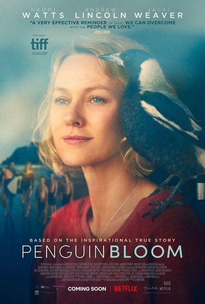 Cánh Cụt Nhà Bloom - Penguin Bloom (2021)