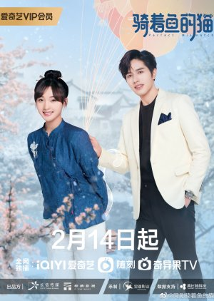 Mèo Cưỡi Cá - Perfect Mismatch (2023)