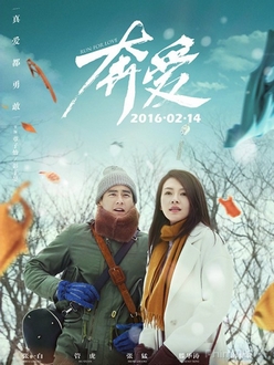 Đuổi bắt tình yêu - Run for Love (2016)