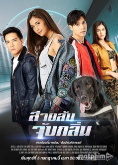 Điệp Viên Săn Mùi - Sai Lub Jub Klin (2019)