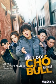 Biệt Đội Chó Bull: Điều Tra Ngoài Giờ - Team Bulldog: Off-duty Investigation (2020)