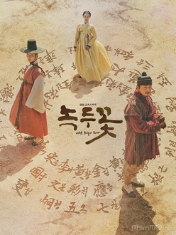 Hoa Đậu Xanh - The Nokdu Flower (2019)