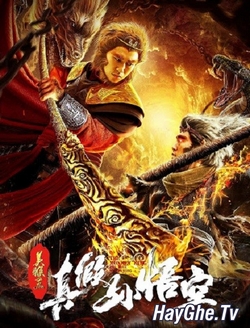 Mỹ Hầu Vương: Tôn Ngộ Không Thật Giả - The True Monkey King (2019)