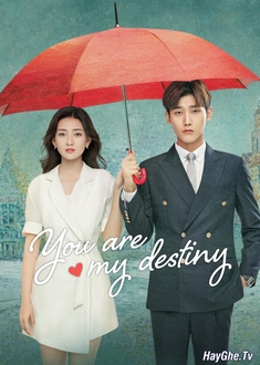 Em Là Định Mệnh Đời Anh - You Are My Destiny (Bản Trung) (2020)