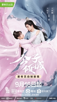 Công Tử Khuynh Thành - Your Sensibility My Destiny (2021)